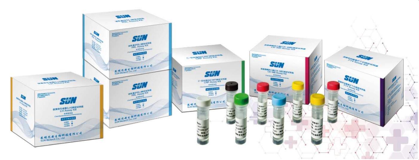 TSH Assay Kit（Chemiluminescence Immunoassay）